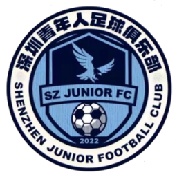 深圳青年人logo